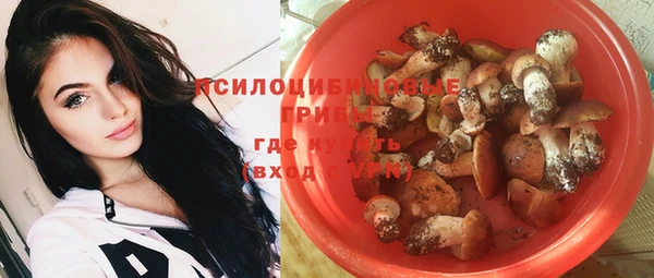 индика Валуйки